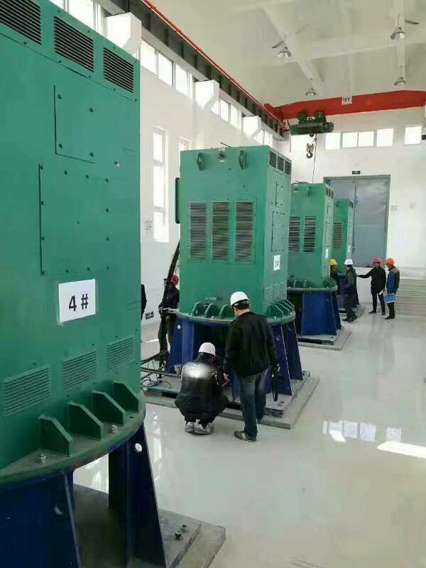 YR4503-4某污水处理厂使用我厂的立式高压电机安装现场