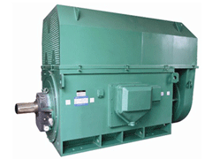 YR4503-4Y系列6KV高压电机
