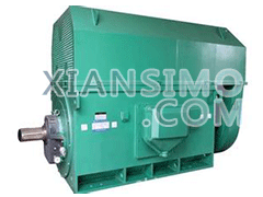 YR4503-4YXKK(2极)高效高压电机技术参数