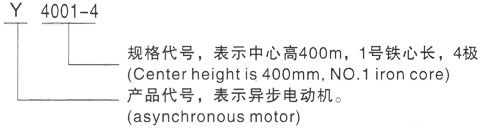 西安泰富西玛Y系列(H355-1000)高压YR4503-4三相异步电机型号说明