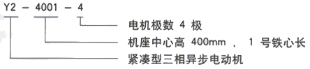 YR系列(H355-1000)高压YR4503-4三相异步电机西安西玛电机型号说明